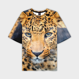 Мужская футболка oversize 3D с принтом Дальневосточный леопард в Петрозаводске,  |  | Тематика изображения на принте: 