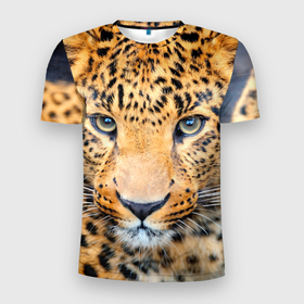 Мужская футболка 3D Slim с принтом Дальневосточный леопард в Петрозаводске, 100% полиэстер с улучшенными характеристиками | приталенный силуэт, круглая горловина, широкие плечи, сужается к линии бедра | Тематика изображения на принте: 