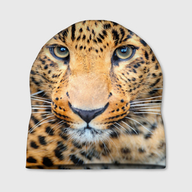 Шапка 3D с принтом Дальневосточный леопард в Петрозаводске, 100% полиэстер | универсальный размер, печать по всей поверхности изделия | Тематика изображения на принте: 