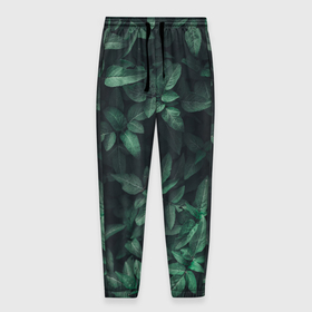 Мужские брюки 3D с принтом Темно зеленые листья   паттерн , 100% полиэстер | манжеты по низу, эластичный пояс регулируется шнурком, по бокам два кармана без застежек, внутренняя часть кармана из мелкой сетки | 
