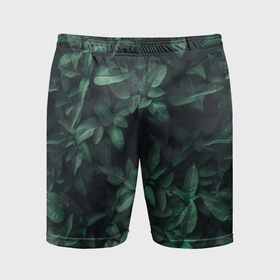Мужские шорты спортивные с принтом Темно зеленые листья   паттерн в Курске,  |  | 