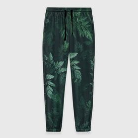 Мужские брюки 3D с принтом Тёмно зеленые листья , 100% полиэстер | манжеты по низу, эластичный пояс регулируется шнурком, по бокам два кармана без застежек, внутренняя часть кармана из мелкой сетки | 