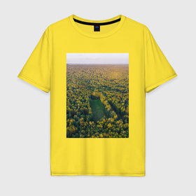 Мужская футболка хлопок Oversize с принтом Футбольное поле с высоты в Курске, 100% хлопок | свободный крой, круглый ворот, “спинка” длиннее передней части | 