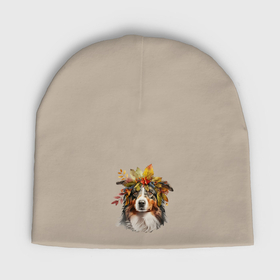Мужская шапка демисезонная с принтом Австралийская овчарка с венком из осенних листьев в Курске,  |  | Тематика изображения на принте: 