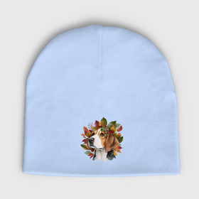 Мужская шапка демисезонная с принтом Бигль с венком из осенних листьев в Курске,  |  | Тематика изображения на принте: 