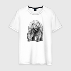 Мужская футболка хлопок с принтом Белый медведь анфас в Кировске, 100% хлопок | прямой крой, круглый вырез горловины, длина до линии бедер, слегка спущенное плечо. | 
