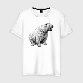Мужская футболка хлопок с принтом Белый медведь рычит в Петрозаводске, 100% хлопок | прямой крой, круглый вырез горловины, длина до линии бедер, слегка спущенное плечо. | Тематика изображения на принте: 