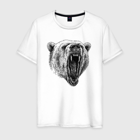 Мужская футболка хлопок с принтом Белый медведь морда в Тюмени, 100% хлопок | прямой крой, круглый вырез горловины, длина до линии бедер, слегка спущенное плечо. | 