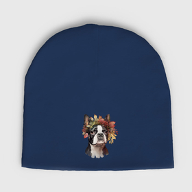 Мужская шапка демисезонная с принтом Бостон терьер с венком из осенних листьев в Курске,  |  | Тематика изображения на принте: 