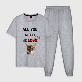 Мужская пижама хлопок с принтом Love and the cat в Белгороде, 100% хлопок | брюки и футболка прямого кроя, без карманов, на брюках мягкая резинка на поясе и по низу штанин
 | 
