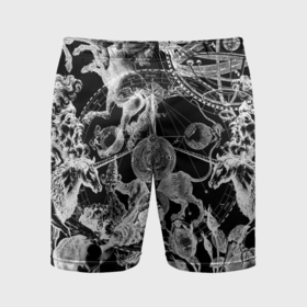 Мужские шорты спортивные с принтом Мифические божества и единороги в розах в Курске,  |  | Тематика изображения на принте: 