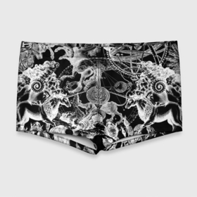 Мужские купальные плавки 3D с принтом Мифические божества и единороги в розах в Курске, Полиэстер 85%, Спандекс 15% |  | Тематика изображения на принте: 