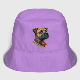 Мужская панама хлопок Бордер терьер с банданой: в Ухте,  |  |