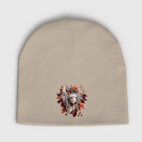 Мужская шапка демисезонная с принтом Китайская хохлатая с венком из осенних листьев в Санкт-Петербурге,  |  | Тематика изображения на принте: 