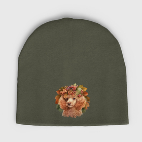 Мужская шапка демисезонная с принтом Пудель абрикосовый с венком из осенних листьев в Белгороде,  |  | Тематика изображения на принте: 