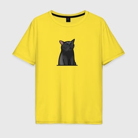 Мужская футболка хлопок Oversize с принтом Разочарованный кот в Новосибирске, 100% хлопок | свободный крой, круглый ворот, “спинка” длиннее передней части | Тематика изображения на принте: 