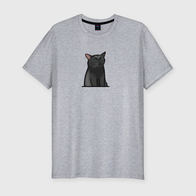 Мужская футболка хлопок Slim с принтом Разочарованный кот в Новосибирске, 92% хлопок, 8% лайкра | приталенный силуэт, круглый вырез ворота, длина до линии бедра, короткий рукав | Тематика изображения на принте: 