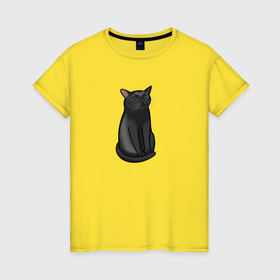 Женская футболка хлопок с принтом Кот с пустым взглядом   мем в Екатеринбурге, 100% хлопок | прямой крой, круглый вырез горловины, длина до линии бедер, слегка спущенное плечо | 