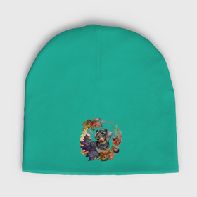 Мужская шапка демисезонная с принтом Такса жесткошерстная с венком из осенних листьев в Тюмени,  |  | Тематика изображения на принте: 