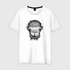 Мужская футболка хлопок с принтом Верблюд анфас в Петрозаводске, 100% хлопок | прямой крой, круглый вырез горловины, длина до линии бедер, слегка спущенное плечо. | 
