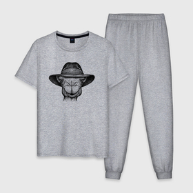 Мужская пижама хлопок с принтом Верблюд в шляпе в Петрозаводске, 100% хлопок | брюки и футболка прямого кроя, без карманов, на брюках мягкая резинка на поясе и по низу штанин
 | 