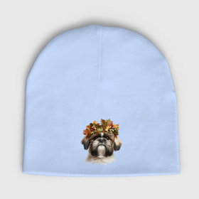 Мужская шапка демисезонная с принтом Ши тцу с венком из осенних листьев в Белгороде,  |  | Тематика изображения на принте: 