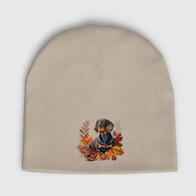 Мужская шапка демисезонная с принтом Такса черно подпалая с венком из осенних листьев в Тюмени,  |  | Тематика изображения на принте: 