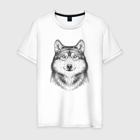 Мужская футболка хлопок с принтом Волк удивился в Екатеринбурге, 100% хлопок | прямой крой, круглый вырез горловины, длина до линии бедер, слегка спущенное плечо. | 