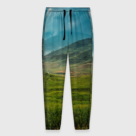 Мужские брюки 3D с принтом Природный ландшафт и пейзаж в Тюмени, 100% полиэстер | манжеты по низу, эластичный пояс регулируется шнурком, по бокам два кармана без застежек, внутренняя часть кармана из мелкой сетки | 