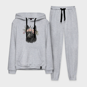 Мужской костюм хлопок с толстовкой Овчарка шипперке с венком из цветов: в Ухте,  |  |