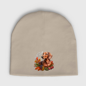 Мужская шапка демисезонная с принтом Такса рыжая гладкошерстная с венком из осенних листьев в Тюмени,  |  | Тематика изображения на принте: 