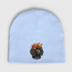 Мужская шапка демисезонная с принтом Пудель черный с венком из осенних листьев в Кировске,  |  | Тематика изображения на принте: 