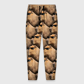Мужские брюки 3D с принтом Крутая капибара   мем в Курске, 100% полиэстер | манжеты по низу, эластичный пояс регулируется шнурком, по бокам два кармана без застежек, внутренняя часть кармана из мелкой сетки | 