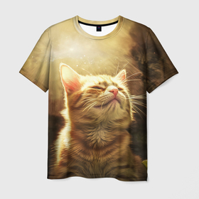 Мужская футболка 3D с принтом Лучезарный котик в Курске, 100% полиэфир | прямой крой, круглый вырез горловины, длина до линии бедер | 
