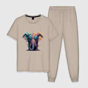 Мужская пижама хлопок с принтом Красочный слон в очках , 100% хлопок | брюки и футболка прямого кроя, без карманов, на брюках мягкая резинка на поясе и по низу штанин
 | 
