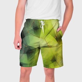 Мужские шорты 3D с принтом Зеленая текстура  объемная в Новосибирске,  полиэстер 100% | прямой крой, два кармана без застежек по бокам. Мягкая трикотажная резинка на поясе, внутри которой широкие завязки. Длина чуть выше колен | 