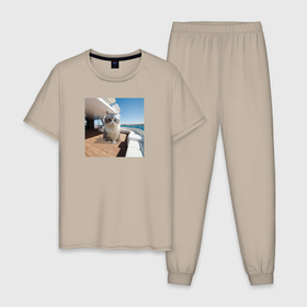 Мужская пижама хлопок с принтом Комару на яхте в Кировске, 100% хлопок | брюки и футболка прямого кроя, без карманов, на брюках мягкая резинка на поясе и по низу штанин
 | Тематика изображения на принте: 