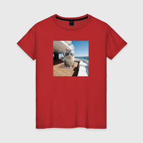 Женская футболка хлопок с принтом Комару на яхте , 100% хлопок | прямой крой, круглый вырез горловины, длина до линии бедер, слегка спущенное плечо | 