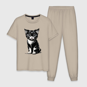 Мужская пижама хлопок с принтом Милый забавный котёнок в Петрозаводске, 100% хлопок | брюки и футболка прямого кроя, без карманов, на брюках мягкая резинка на поясе и по низу штанин
 | Тематика изображения на принте: 