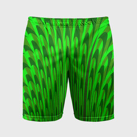 Мужские шорты спортивные с принтом Травяные стрелы в Тюмени,  |  | Тематика изображения на принте: 