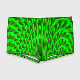 Мужские купальные плавки 3D с принтом Травяные стрелы в Тюмени, Полиэстер 85%, Спандекс 15% |  | 