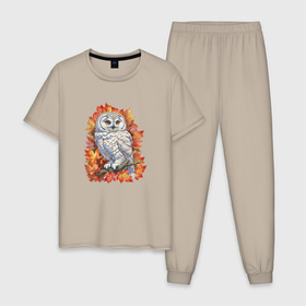 Мужская пижама хлопок с принтом Осенняя сова в Тюмени, 100% хлопок | брюки и футболка прямого кроя, без карманов, на брюках мягкая резинка на поясе и по низу штанин
 | 