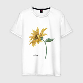 Мужская футболка хлопок с принтом Подсолнух цветок солнце в Екатеринбурге, 100% хлопок | прямой крой, круглый вырез горловины, длина до линии бедер, слегка спущенное плечо. | 