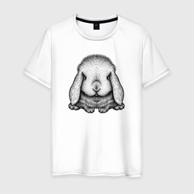 Мужская футболка хлопок с принтом Кролик вислоухий анфас в Кировске, 100% хлопок | прямой крой, круглый вырез горловины, длина до линии бедер, слегка спущенное плечо. | Тематика изображения на принте: 