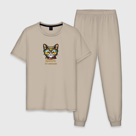 Мужская пижама хлопок с принтом Желтый кот в очках душнила по меньше в Тюмени, 100% хлопок | брюки и футболка прямого кроя, без карманов, на брюках мягкая резинка на поясе и по низу штанин
 | 
