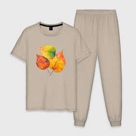 Мужская пижама хлопок с принтом Яркие осенние листья в Тюмени, 100% хлопок | брюки и футболка прямого кроя, без карманов, на брюках мягкая резинка на поясе и по низу штанин
 | 