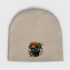 Мужская шапка демисезонная с принтом Мопс черный с венком осенних листьев в Кировске,  |  | Тематика изображения на принте: 