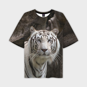 Мужская футболка oversize 3D с принтом Белый тигр спокоен ,  |  | 