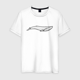 Мужская футболка хлопок с принтом Кит плывёт в Белгороде, 100% хлопок | прямой крой, круглый вырез горловины, длина до линии бедер, слегка спущенное плечо. | 