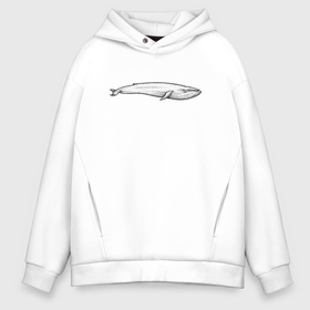 Мужское худи Oversize хлопок с принтом Кит сбоку в городе Новоалтайск, френч-терри — 70% хлопок, 30% полиэстер. Мягкий теплый начес внутри —100% хлопок | боковые карманы, эластичные манжеты и нижняя кромка, капюшон на магнитной кнопке | Тематика изображения на принте: 